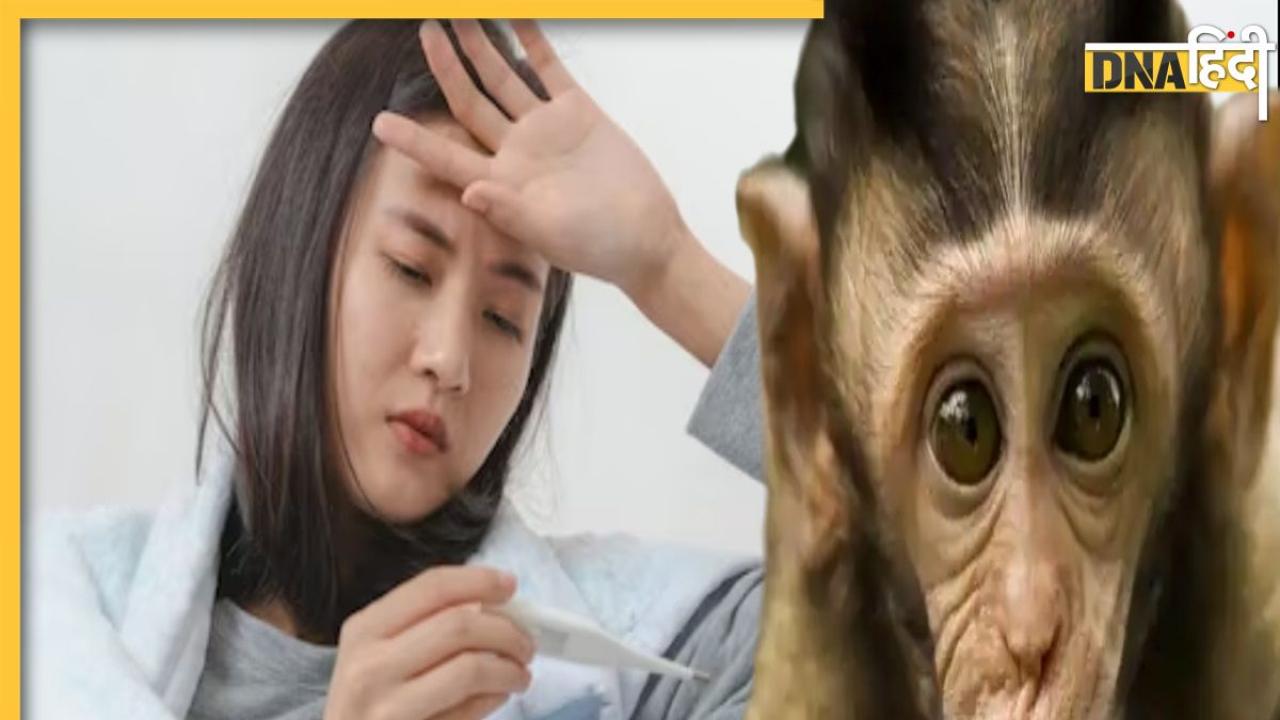 क्या है Monkey Fever, जिसकी वजह से अब तक 4 लोगों की मौत, कैसे करें इससे बचाव?