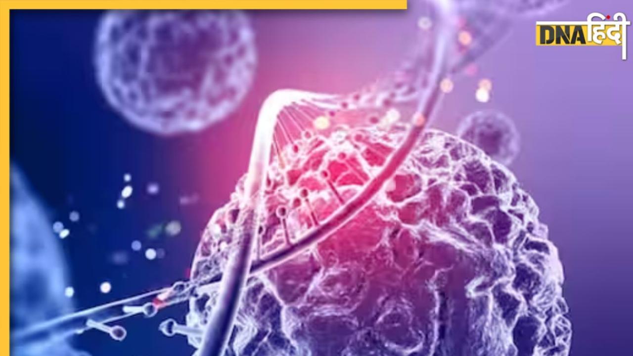 Cancer Treatment: कैंसर को खत्म करने आ रहा फूड सप्लीमेंट, शरीर में घातक कोशिकाओं का विकास रुकेगा