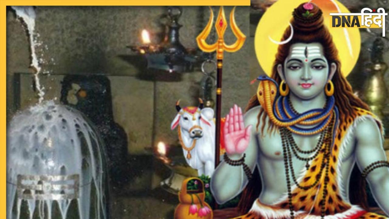 Mahashivratri 2024: महाशिवरात्रि से पहले इन चीजों का दिखना देता है भाग्योदय का संकेत, प्राप्त होती है महादेव की कृपा