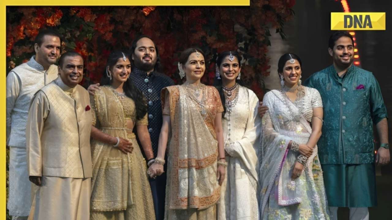 Anant Ambani-Radhika merchant pre-wedding: 5 expensive services provided by Mukesh Ambani to guests