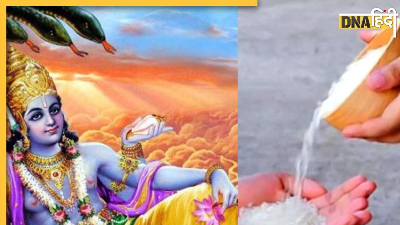 Vijaya Ekadashi 2024: विजया एकादशी पर करेंगे इन चीजों का दान तो खत्म हो जाएंगे कष्ट, सुख शांति के साथ आएगी समृद्धि