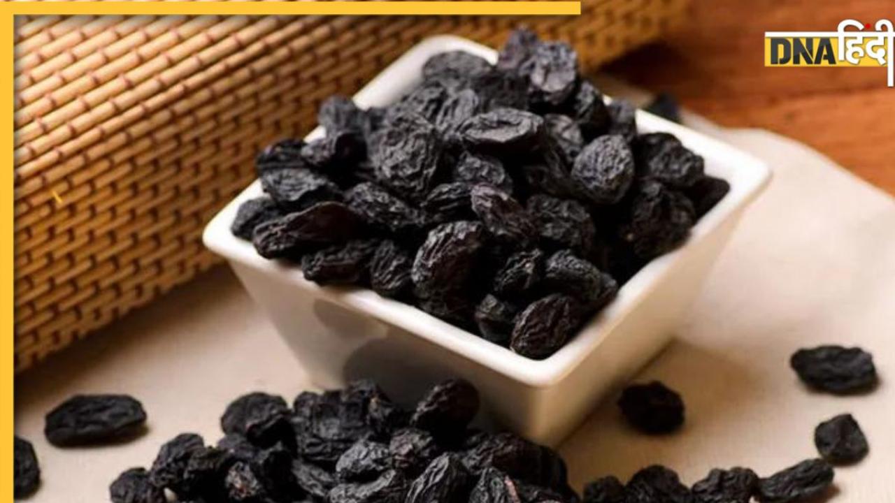 Black Raisins Benefits: आयुर्वेद में सुपरफूड मानी गई है ये काली किशमिश, बवासीर से लेकर स्किन तक में है फायदेमंद