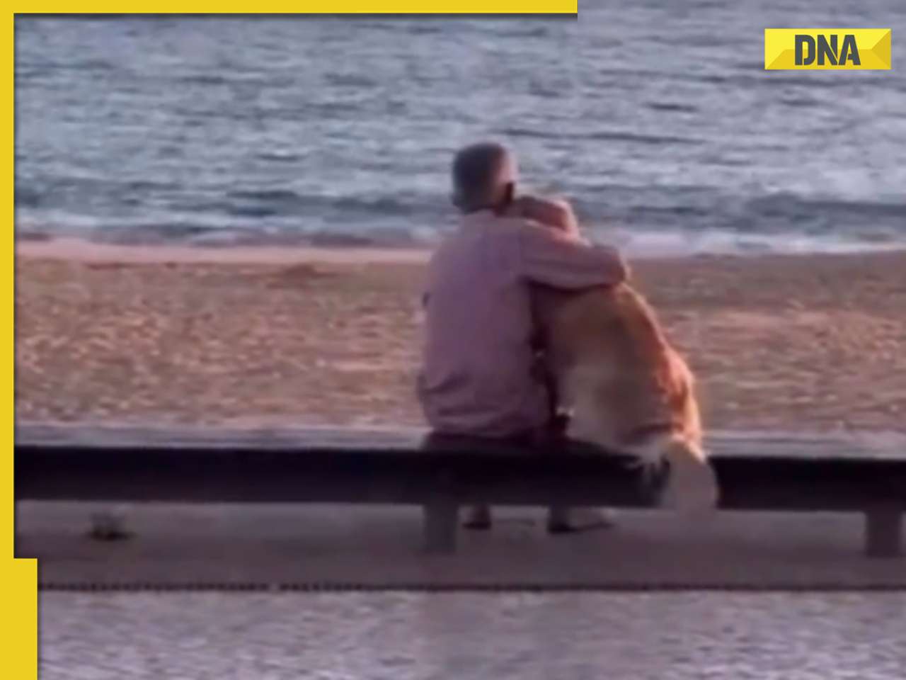 Heartwarming video of elderly man and dog watching sunset melts internet, watch