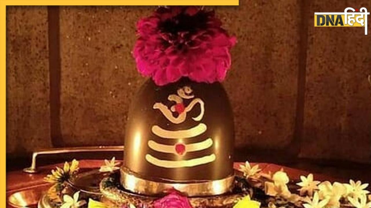 Mahashivratri के दिन शिवलिंग पर जरूर अर्पित करें ये 5 चीजें, भोलेनाथ की कृपा से पूरी होगी हर मनोकामना