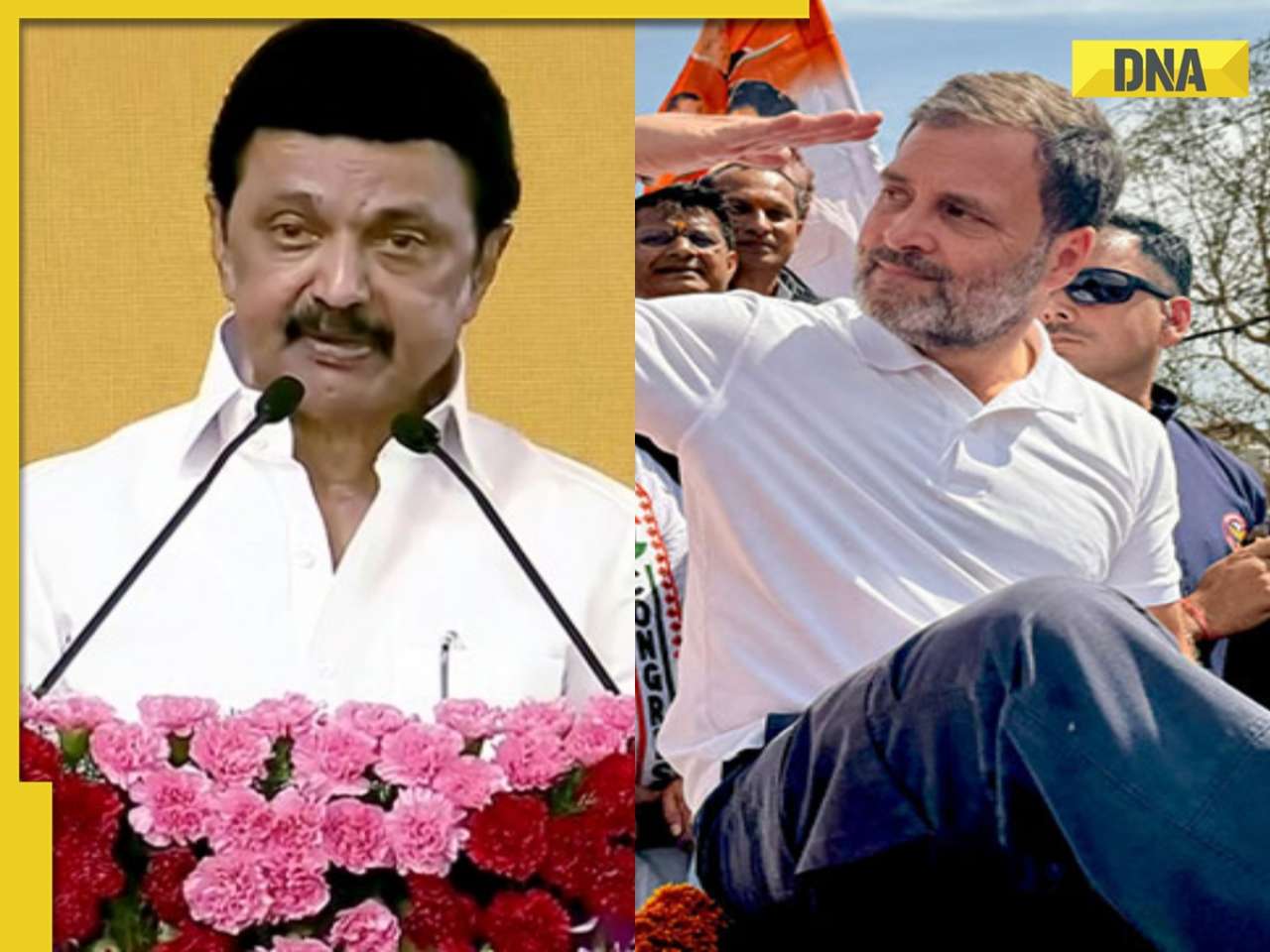 Lok Sabha Polls 2024: DMK seals seat-sharing pact with Congress, allots...