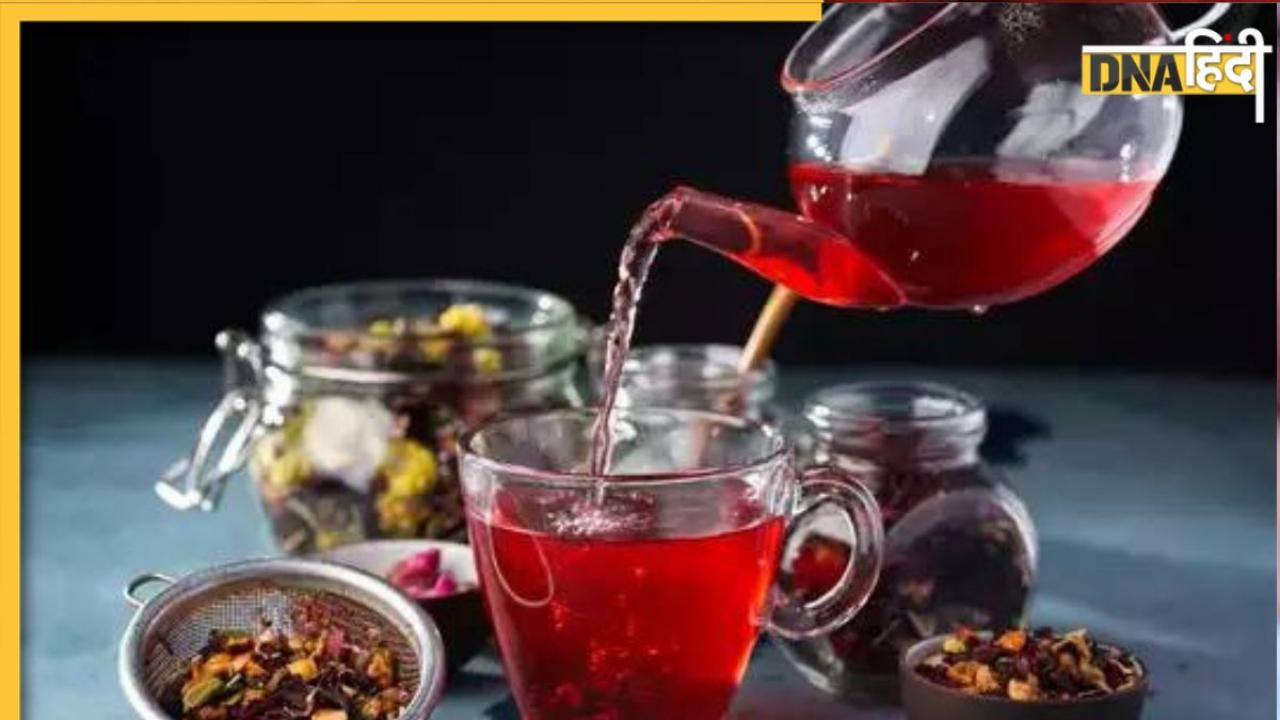 Hibiscus Tea Benefits: इस लाल फूल की चाय ब्लड प्रेशर से लेकर वेट तक को करती है कम, स्ट्रेस भी होगा मिनटों में छूमंतर