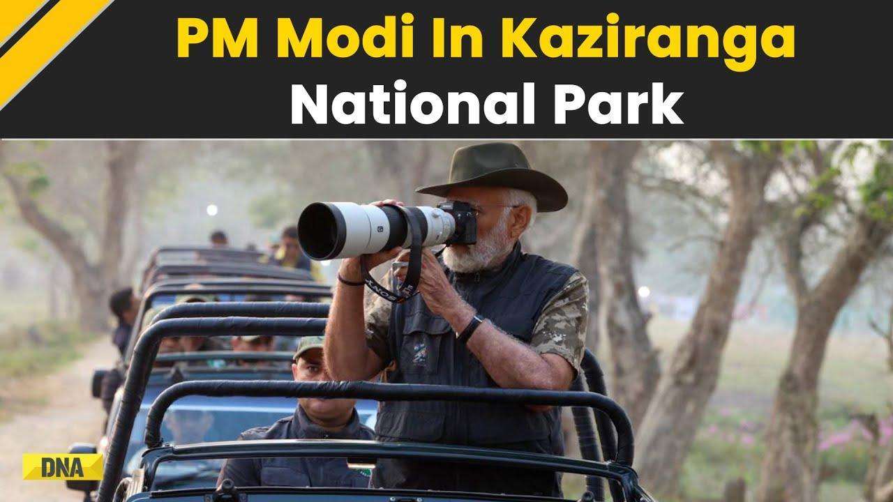 PM Modi In Assam: From Safari Rides To Feeding Elephants PM Modi's visit To Kaziranga National Park