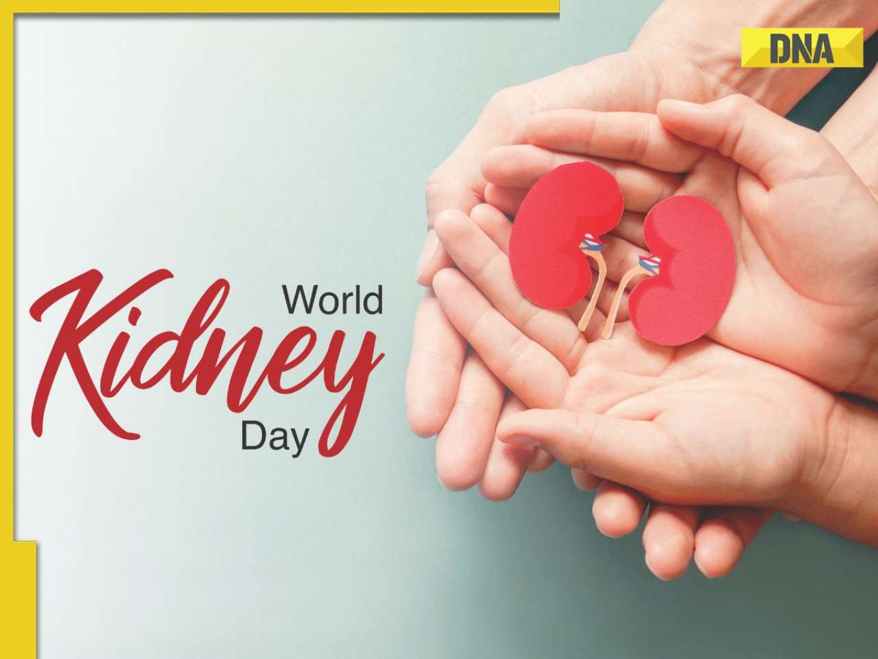 World Kidney Day 2024: Tips to prevent kidney disease in different seasons