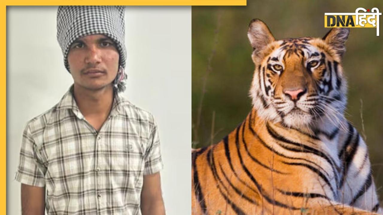 Tiger ने दबा ली थी गर्दन, 17 साल के लड़के ने उसकी जीभ खींचकर बचाई अपनी जान, हैरान कर देगी ये कहानी