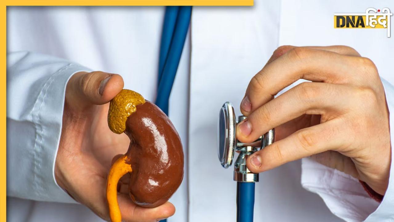 World Kidney Day 2024: खाने की थाली ही डैमेज कर रही आपकी किडनी, रिपोर्ट के मुताबिक Packed Food है सबसे बड़ा खतरा
