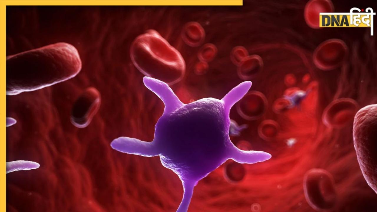 क्या होता है Platelets? शरीर में दिखने वाले ये लक्षण हो सकते हैं इसकी कमी के संकेत, ऐसे करें बचाव