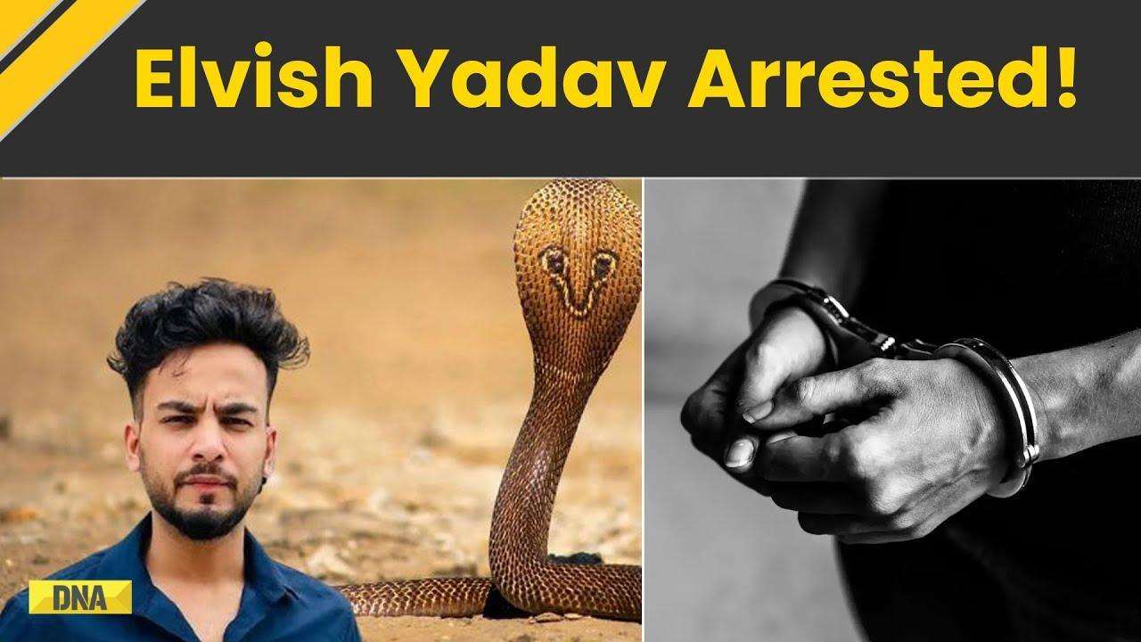 Breaking News: YouTuber Elvish Yadav Arrested By Noida Police, To Be Presented In Court Today