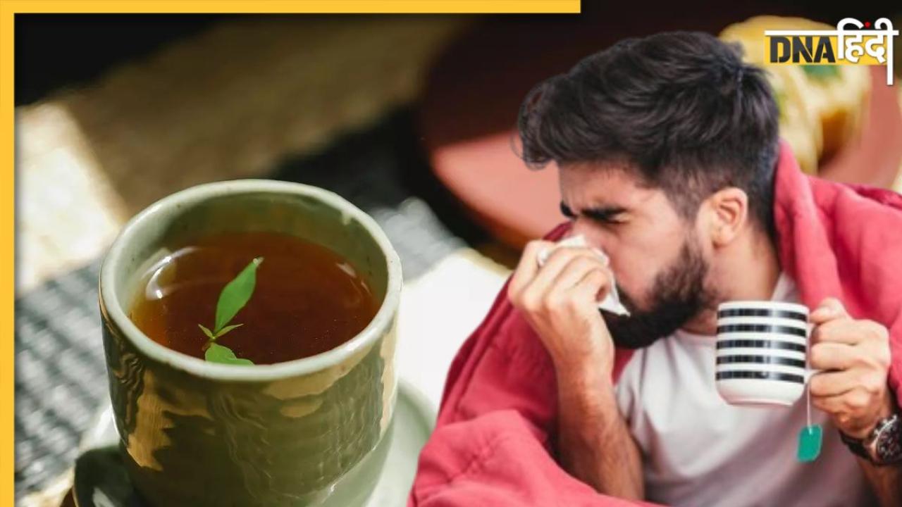 Cold-Cough Remedies: बदलते मौसम में परेशान कर रहा सर्दी-जुकाम तो पिएं ये 5 चाय