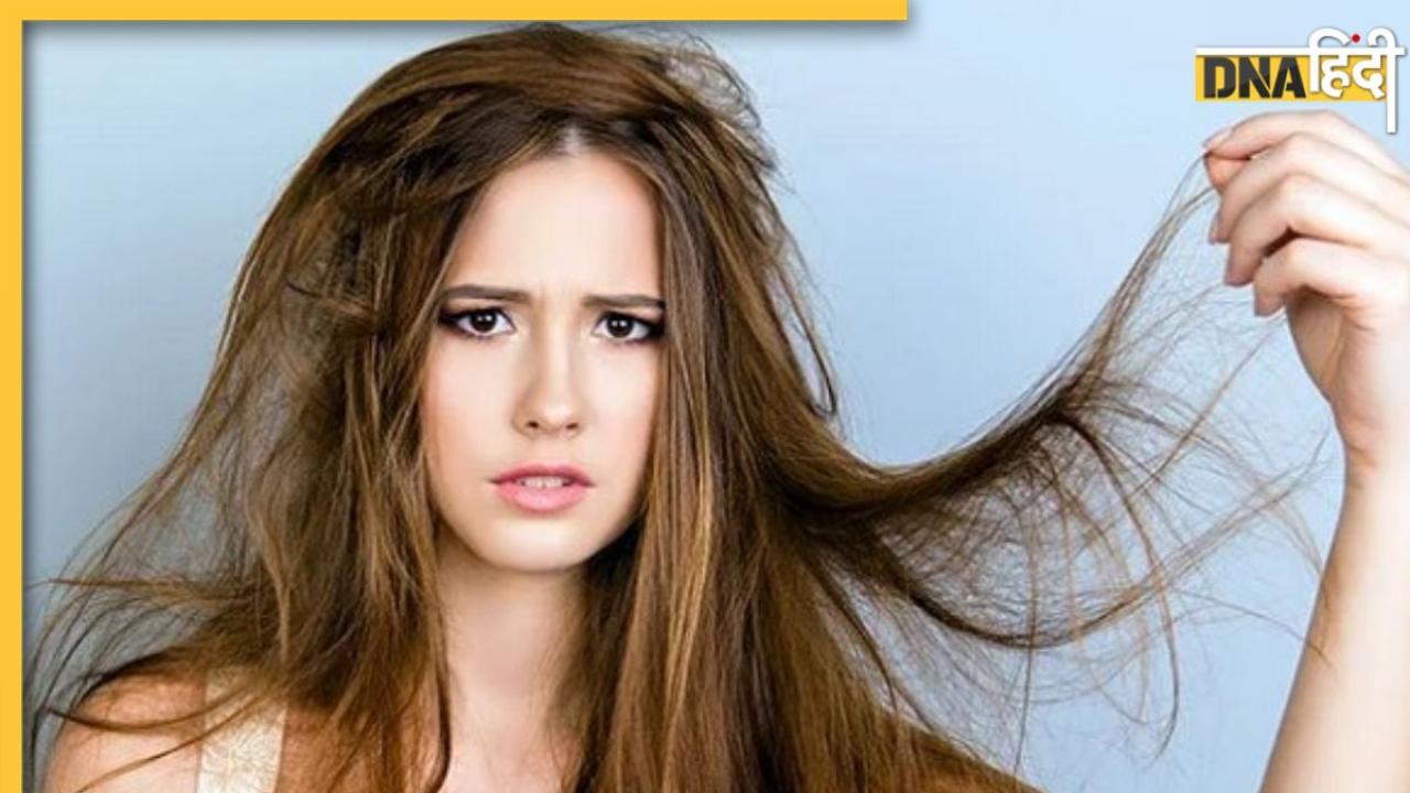 Dry Hair Treatment: रूखे और बेजान बालों की समस्या को दूर करेंगे ये घरेलू नुस्खे, मिलेंगे Silky Hair