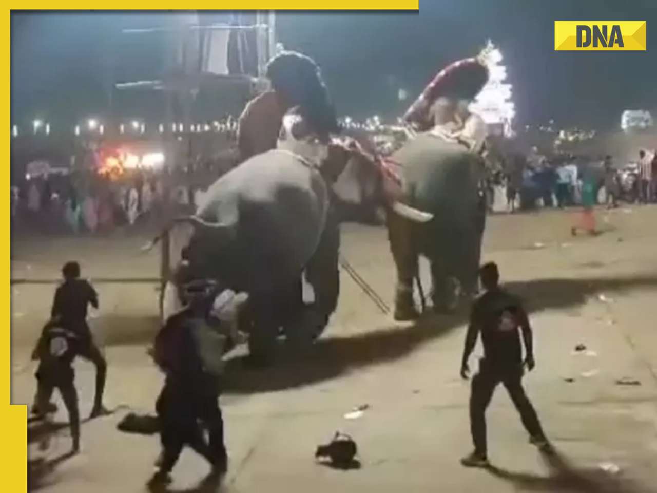 Viral video shows elephant attacking another at packed temple event in Kerala, watch