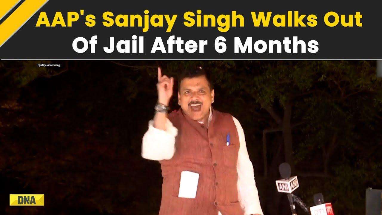 AAP Workers Celebrate As Sanjay Singh Walks Out Of Tihar Jail On Bail