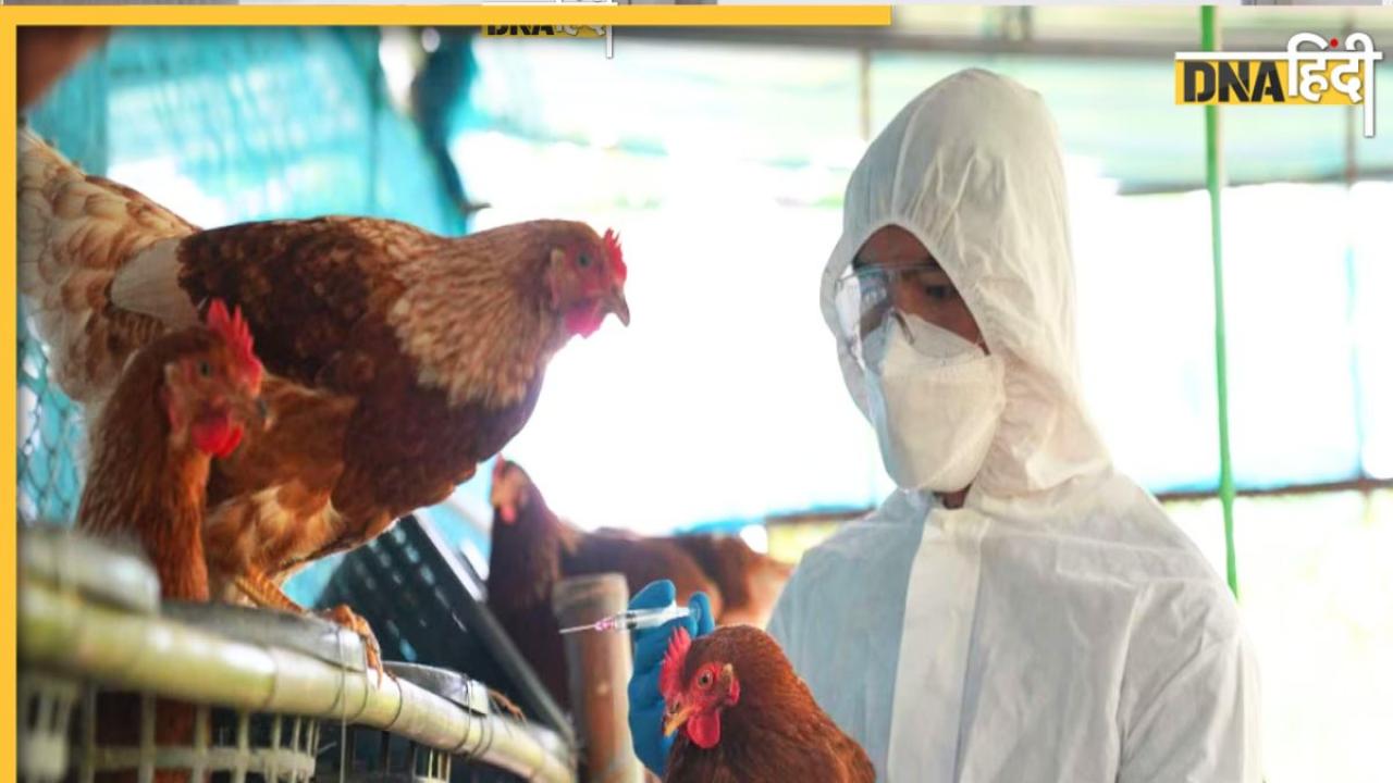 Bird Flu Alert: क्या कोरोना से ज्यादा खतरनाक होने वाला है बर्ड फ्लू?  जानिए भारत के लिए कितना ख़तरा है