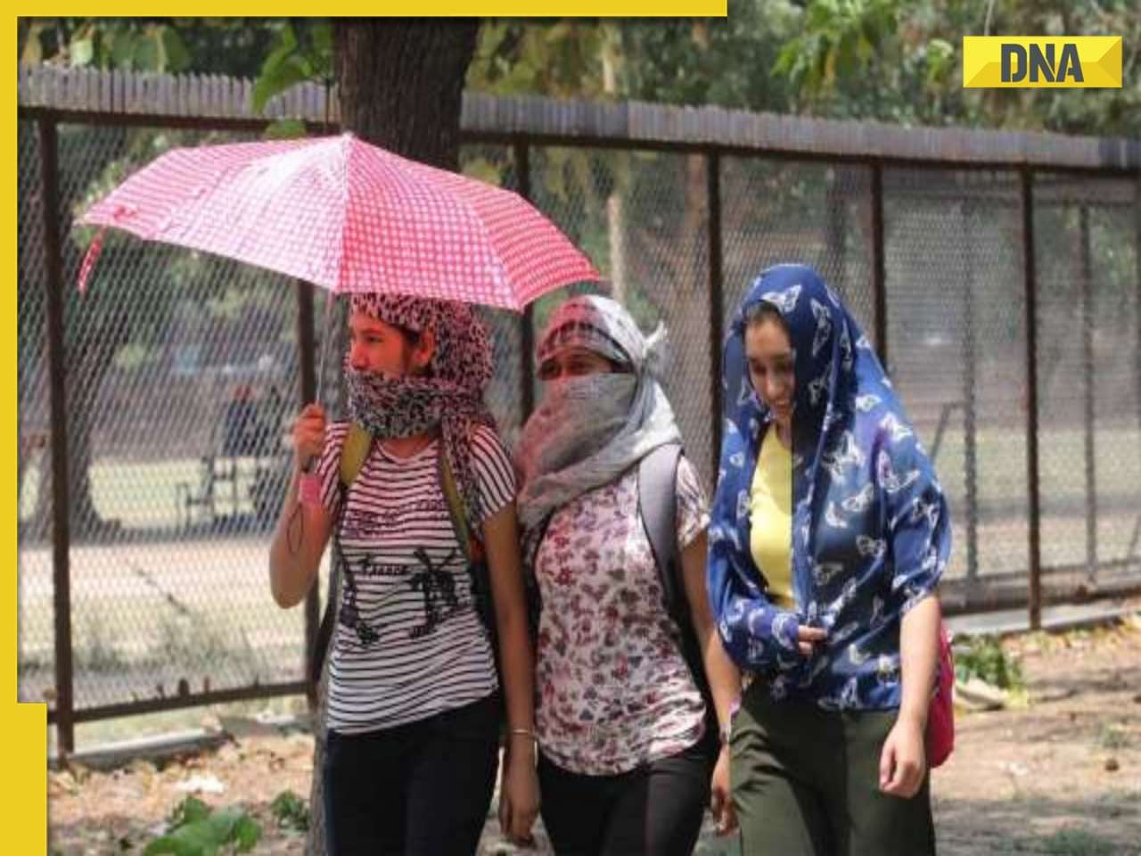 IMD weather report: Heatwave alert in Odisha, Kerala, Tamil Nadu; rainfall in these states, check state-wise forecast
