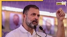 बिहार के दरभंगा में राहुल गांधी के खिलाफ FIR दर्ज, भड़की कांग्रेस- ये लोकतंत्र की आवाज दबाने की साजिश