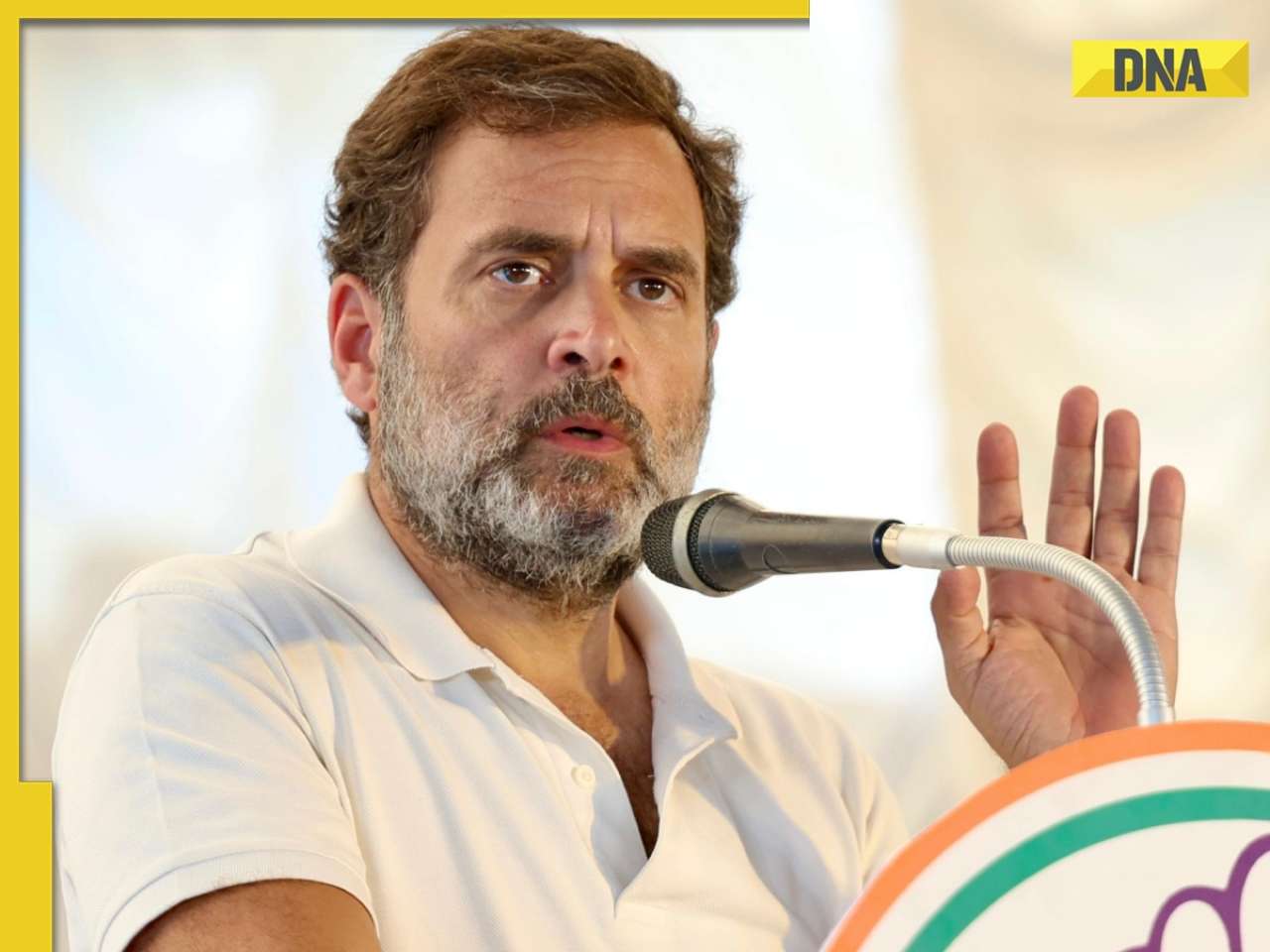 Lok Sabha Elections 2024: 'I get surprised when...,' Rahul Gandhi slams BJP for dividing country