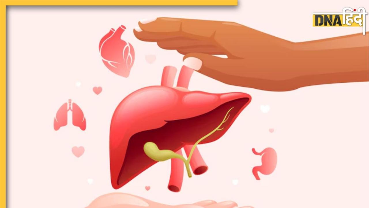 World Liver Day 2024: लिवर से जुड़ी इन बीमारियों को इग्नोर करना हो सकता है खतरनाक, लक्षण दिखते ही अपनाएं बचाव के ये उपाय