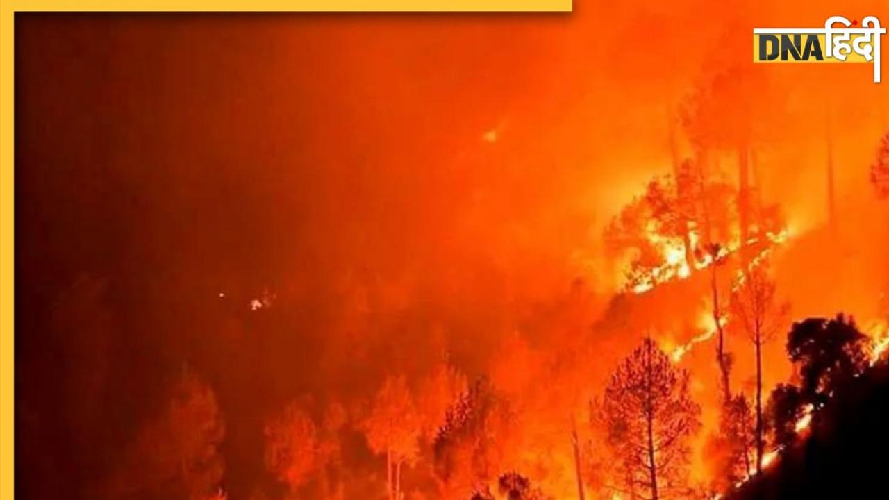 Uttarakhand Forest Fire: विकराल आग से दहक उठा उत्तराखंड, नैनीताल तक पहुंची आग 