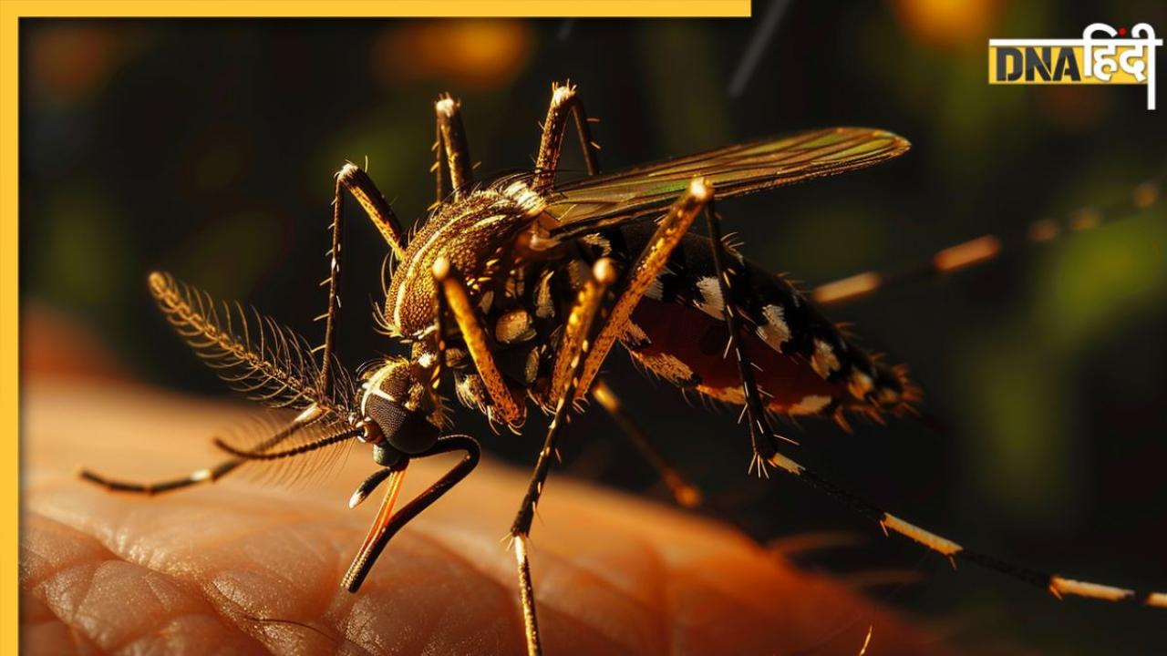 Uttarakhand में बढ़ा डेंगू और चिकनगुनिया का प्रकोप! कहीं आपमें तो नहीं दिख रहे ये लक्षण? 