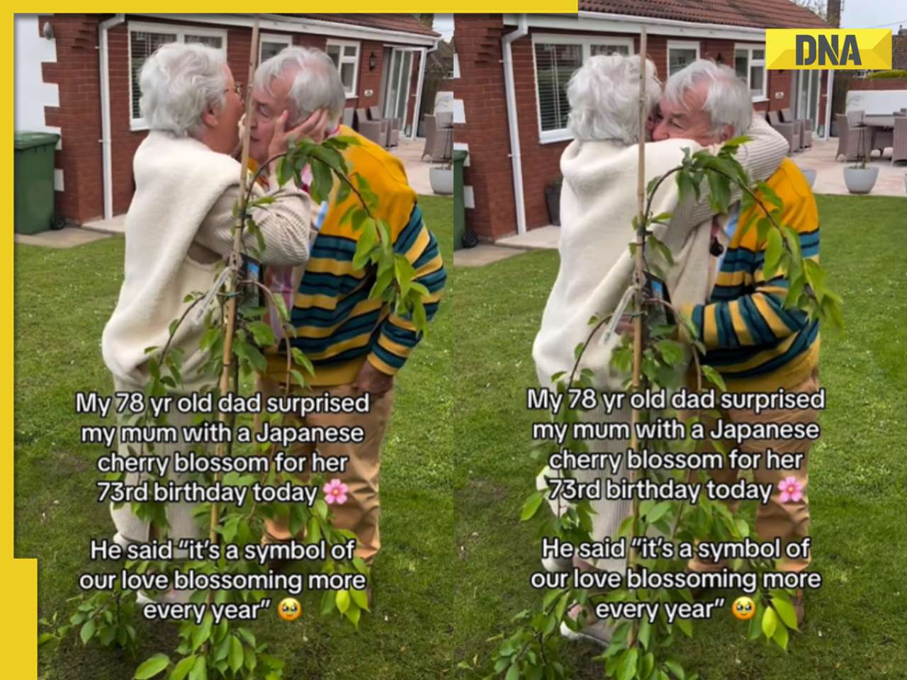 Viral video: 78-year-old man's heartwarming surprise for wife sparks tears of joy