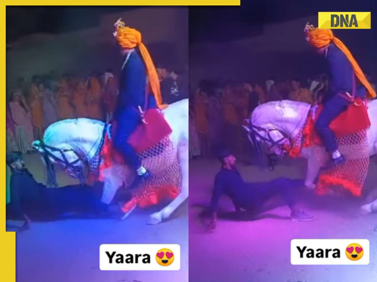 Man dances with horse carrying groom in viral video, internet loves it 