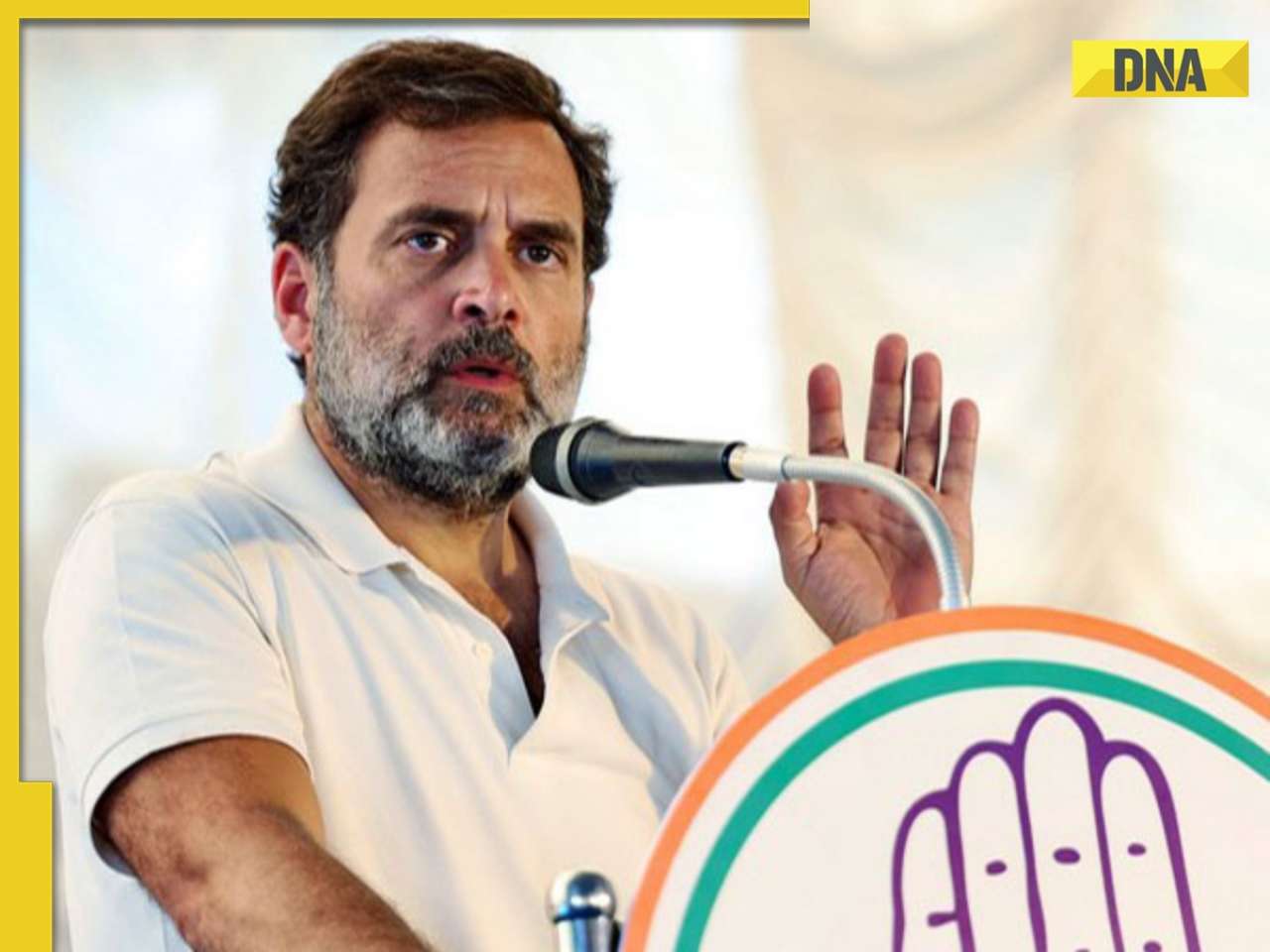 Lok Sabha Elections 2024: Congress picks Rahul Gandhi from Raebareli, KL Sharma from Amethi