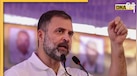 'UP में अपराधी बेखौफ', रामपुर रेपकांड पर भड़के राहुल गांधी, यूपी सरकार पर साधा निशाना 