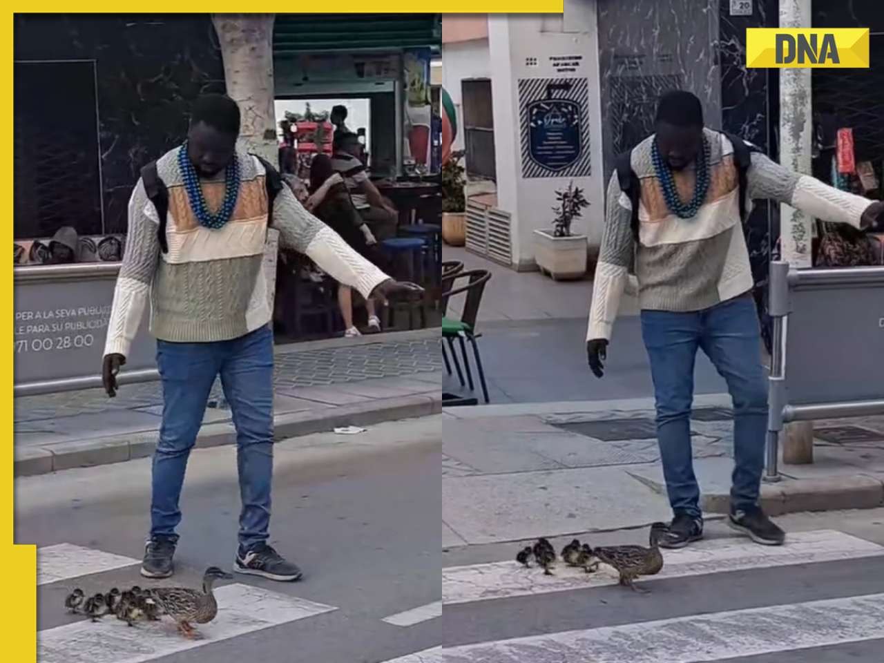 Viral video: Kind man assists duck family in crossing the road, internet lauds him