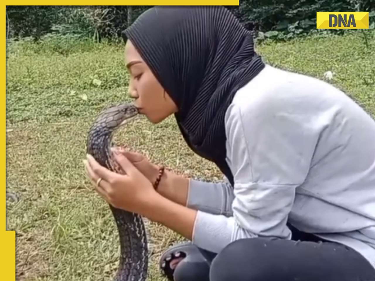 Woman kisses massive king cobra on head in viral video, internet reacts
