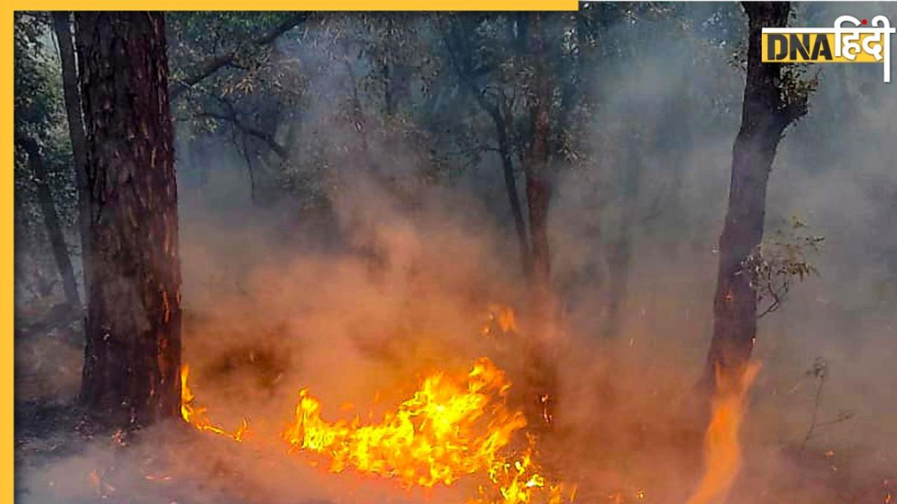 Uttarakhand Forest Fire पर भड़का Supreme Court, बोला- चुनावी ड्यूटी पर क्यों लगाए फॉरेस्ट कर्मचारी