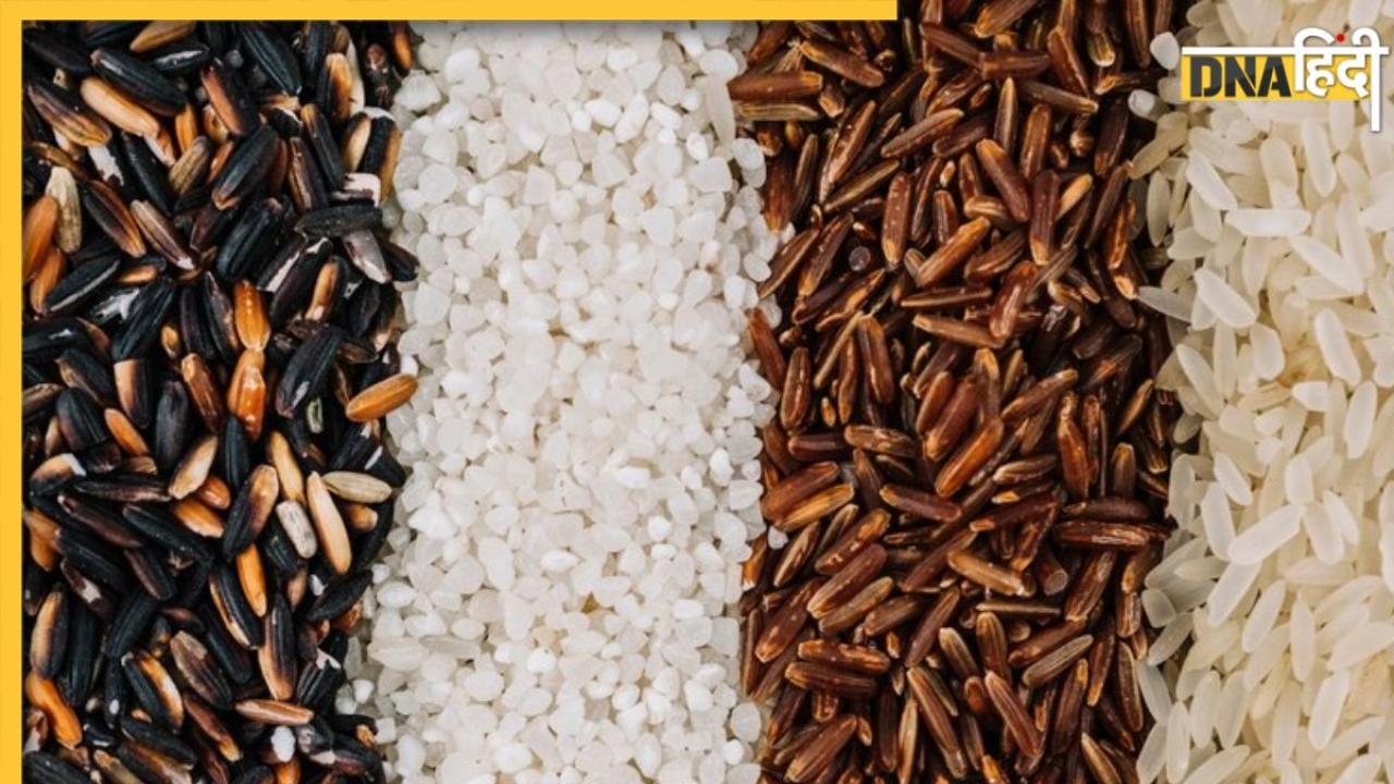 Rice For Diabetes Patients: डायबिटीज के मरीज भी खा सकते हैं ये 5 किस्म के चावल, नहीं बढ़ेगा शुगर लेवल  