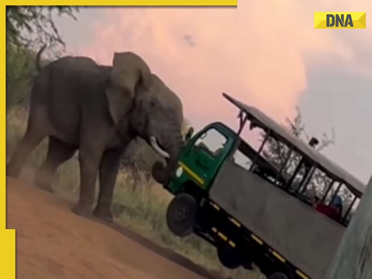 Elephant lifts safari truck with tourists in shocking viral video, watch
