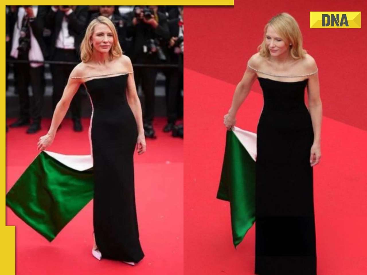 Cate Blanchett wears Palestinian flaginspired dress at Cannes red