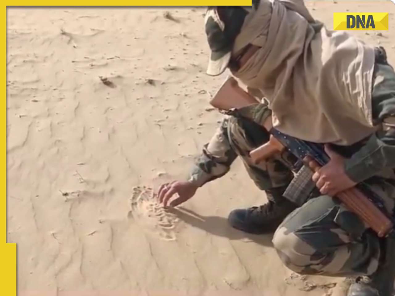 Viral video: BSF jawan roasts papad on scorching sand in Bikaner, internet reacts