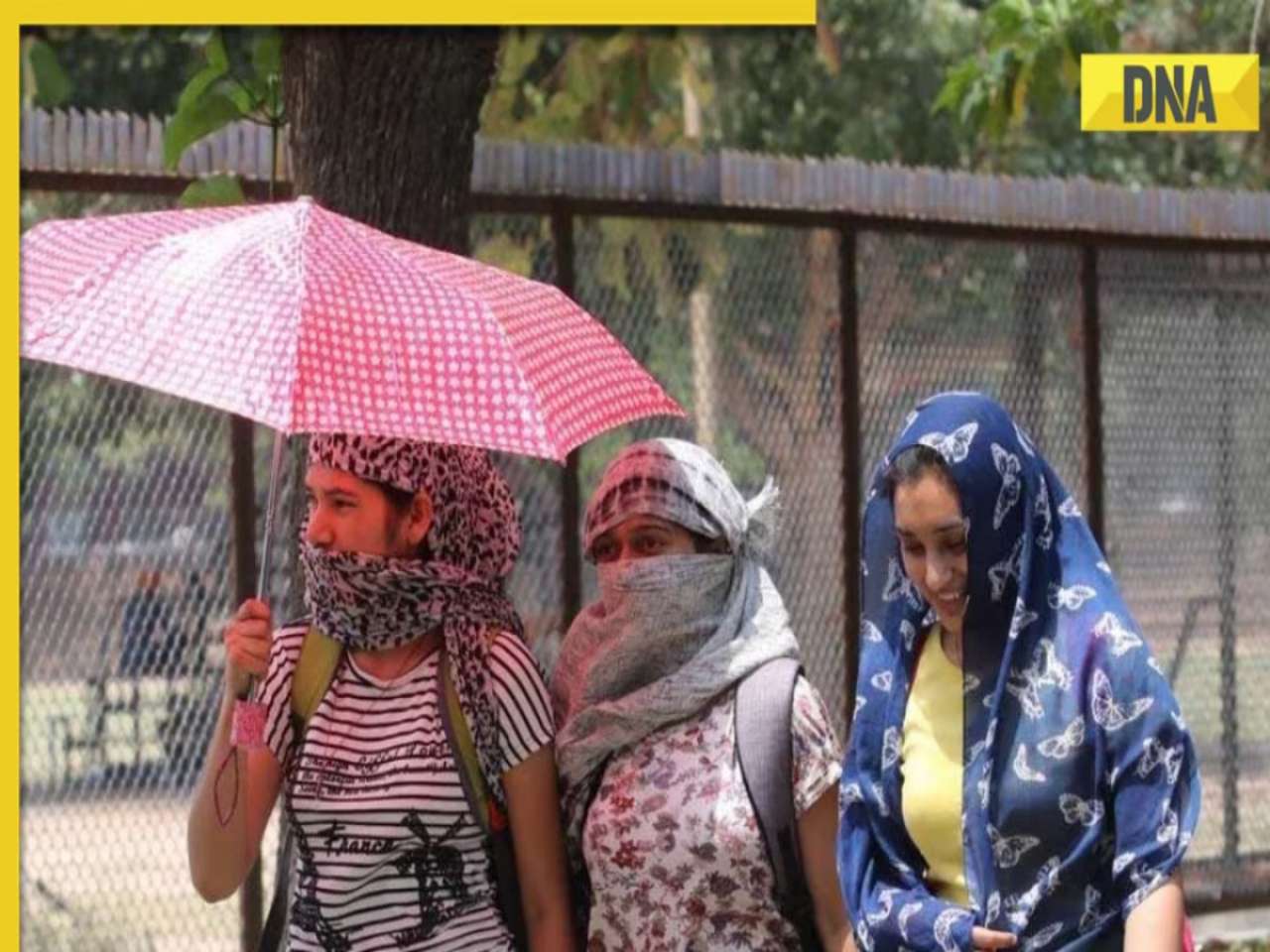 Weather Update: Severe heatwave grips Delhi-NCR, IMD issues red alert for national capital