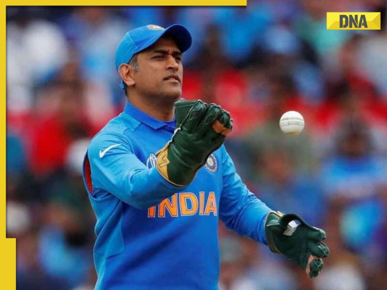 Explained: Why MS Dhoni cannot apply for India head coach job