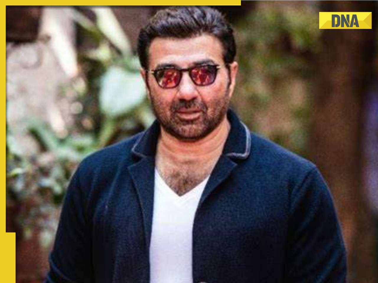 BJP MP-actor Sunny Deol accused of forgery, cheating, extortion; producer says, 'Rs 2.55 crore of my money is...' - Vimarsana News