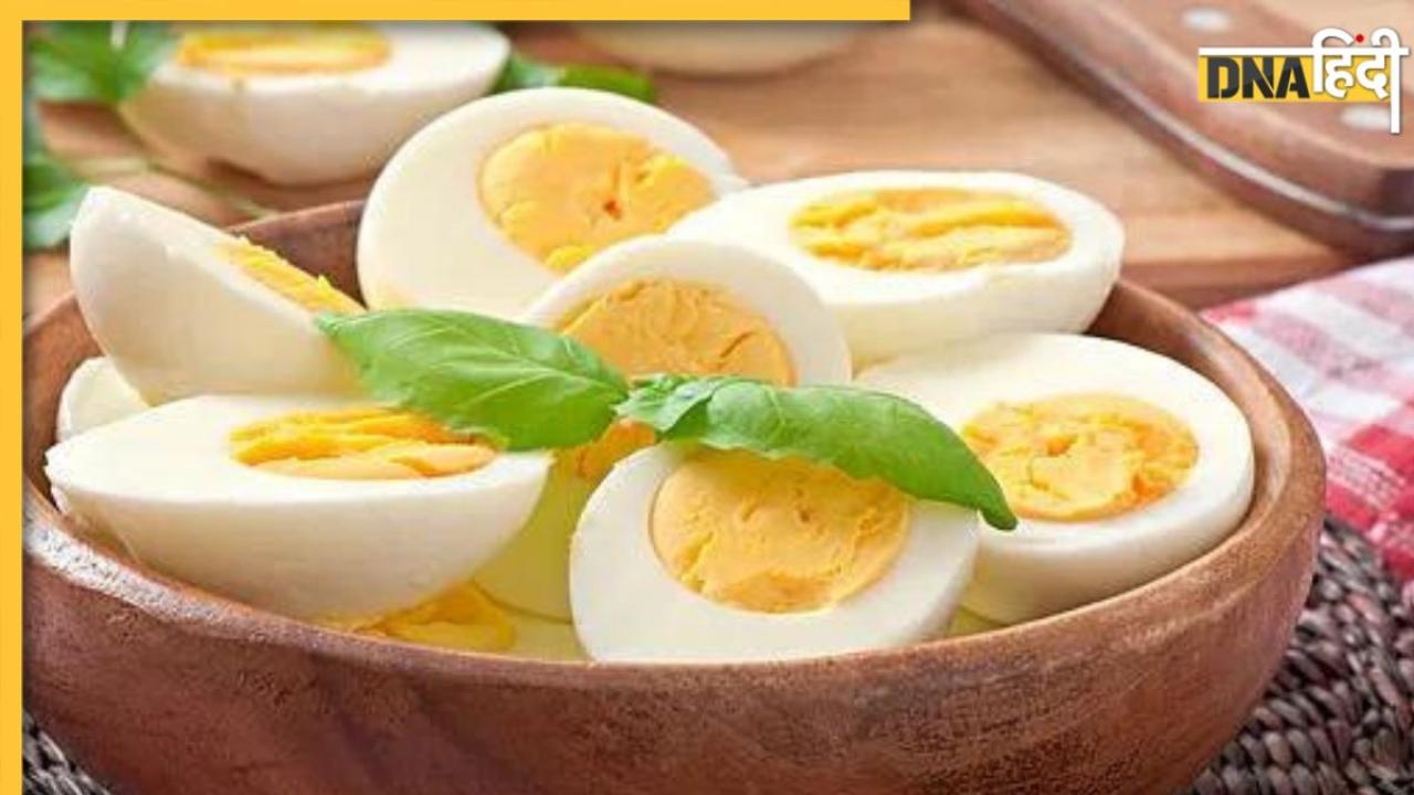 Cholesterol Myths: अंडे खाने से कोलेस्ट्रॉल बढ़ता है या नहीं? एग योक खाएं या फेंके, सब कुछ जान लें