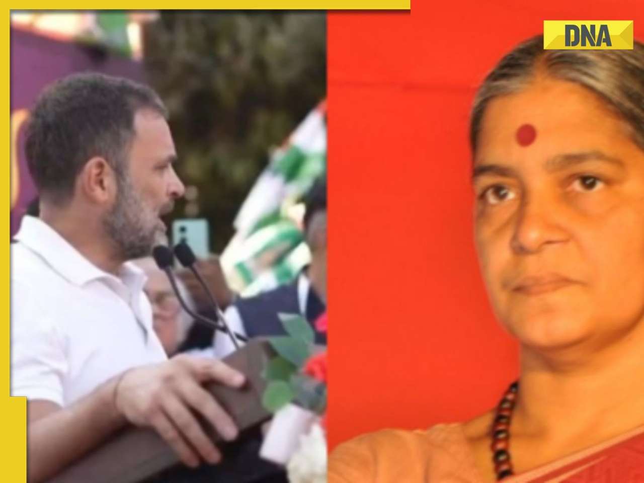  Wayanad Lok Sabha Election Results 2024 LIVE Updates: Rahul Gandhi vs Annie Raja, who will win?