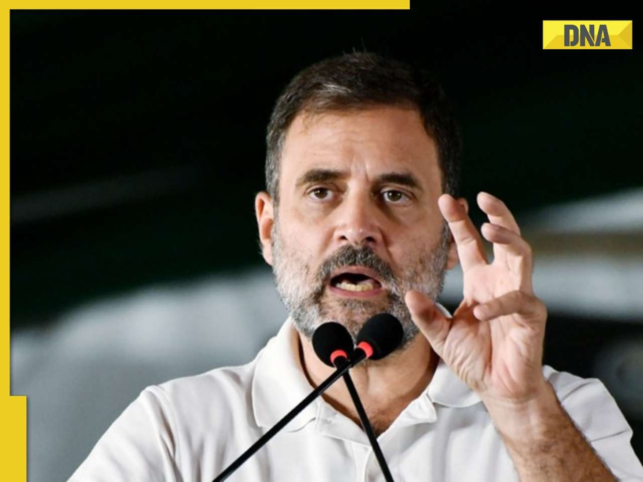 Congress leader Rahul Gandhi to pick family seat Rae Bareli over Wayanad: Sources