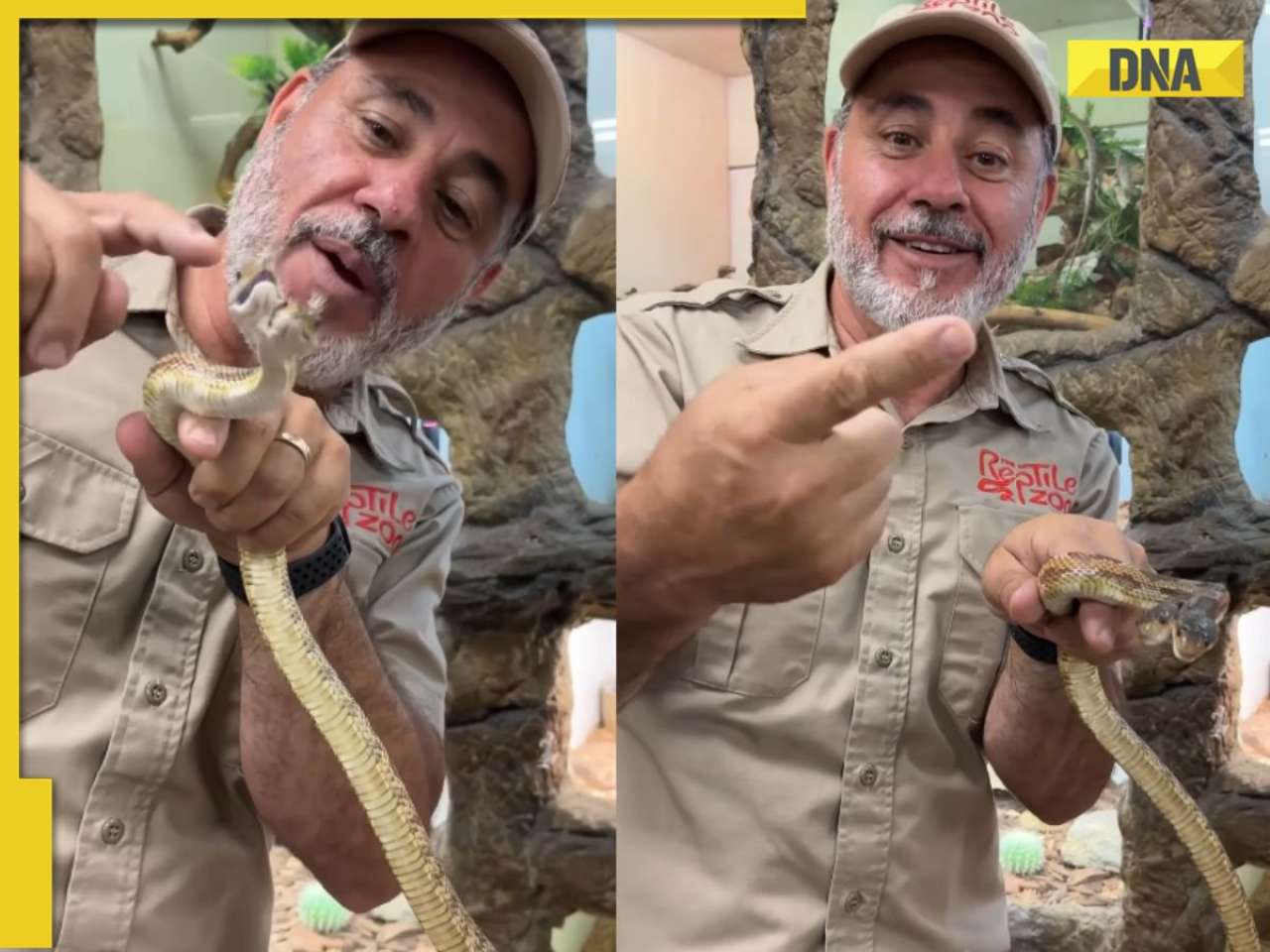 Viral video: Rare two-headed snake in zoo shocks internet, watch