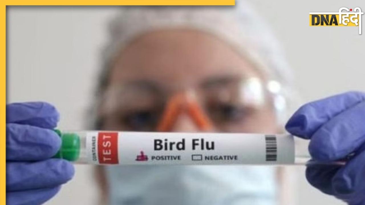 भारत में मिला Bird Flu का दूसरा केस, H9N2 वायरस की चपेट में आया 4 साल का बच्चा