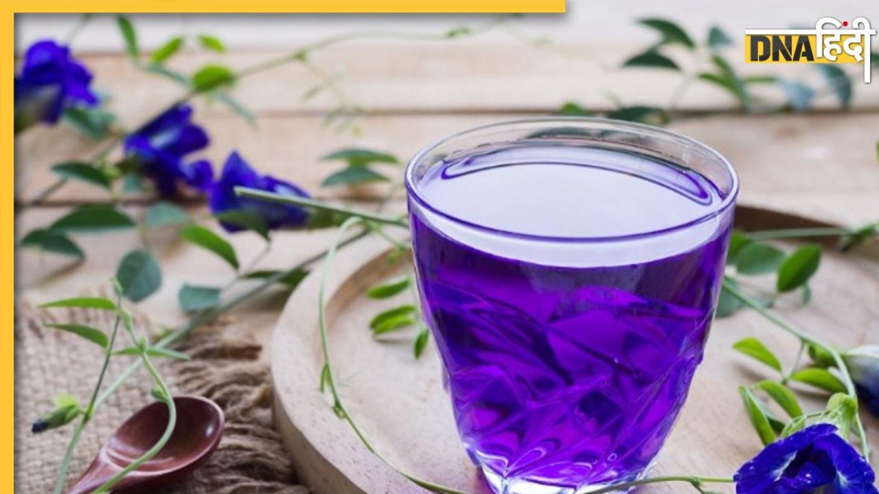 Blue Tea For Cholesterol: नीली चाय पीते ही कंट्रोल हो जाएगा कोलेस्ट्रॉल, नसों में चिपकी वसा और ट्रांसफैट की हो जाएगी सफाई