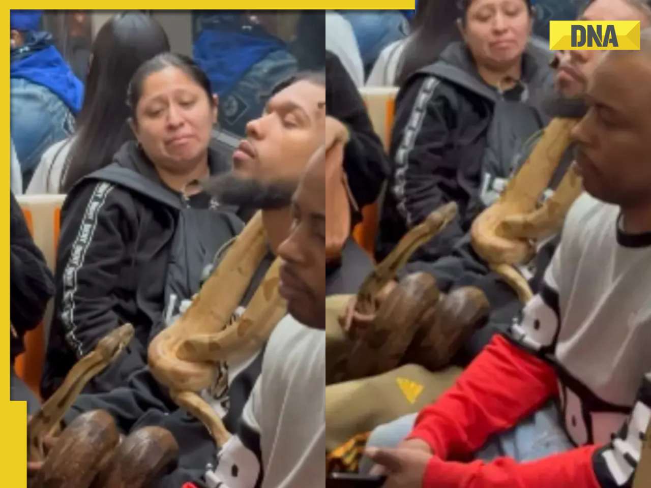 Viral video: Man spotted carrying live snakes inside metro, internet reacts
