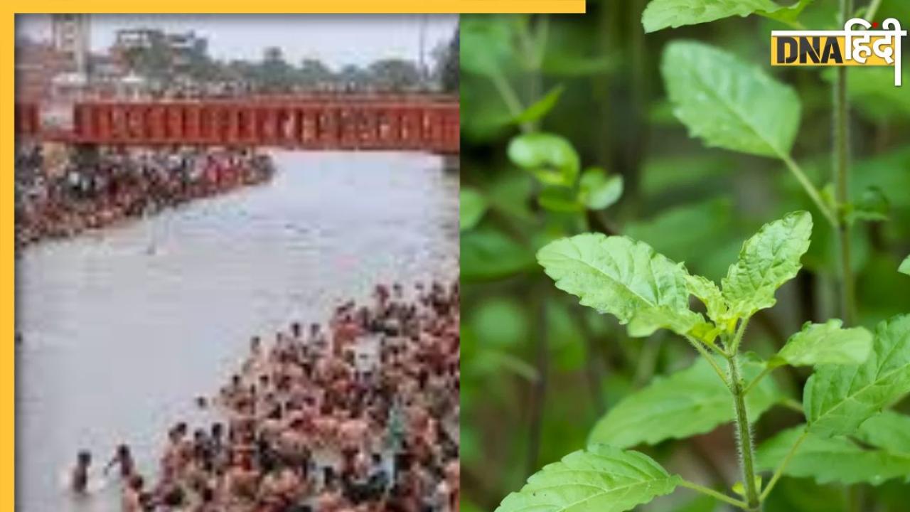 Ganga Dussehra 2024: गंगा दशहरा पर कर लिए ये 3 उपाय तो पापों से मुक्ति के साथ दूर हो जाएगी धन की कमी