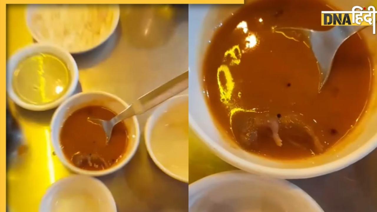 Chocolate Syrup के बाद अब अहमदाबाद में सांभर में मिला 'मरा हुआ चूहा', देखें Shocking Video 